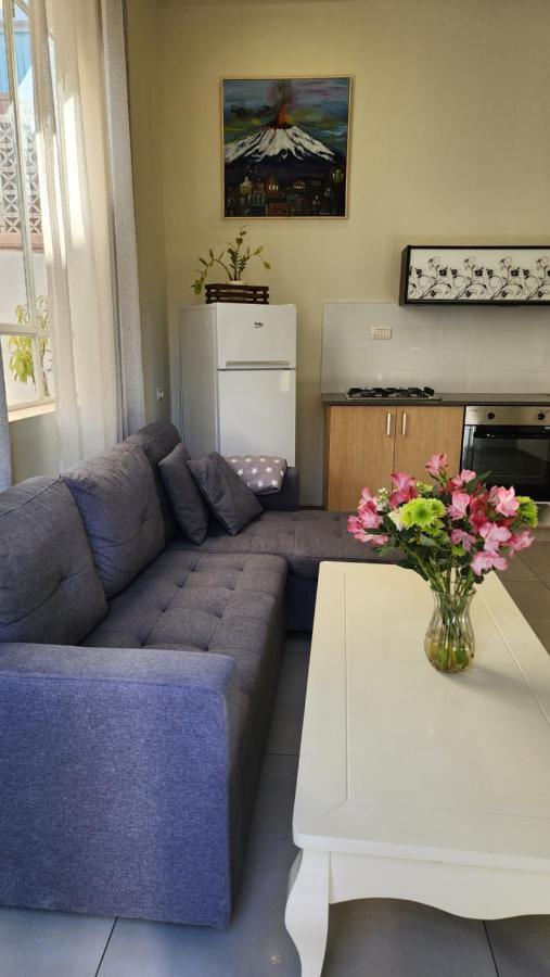 Apartment Kinamon - Stylish Studio